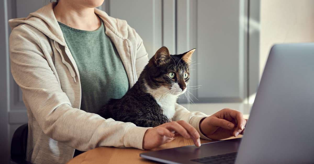 11 Companies That Will Fully Equip Your Home Office for Free